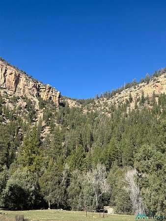 40 Acres of Land for Sale in Monero, New Mexico
