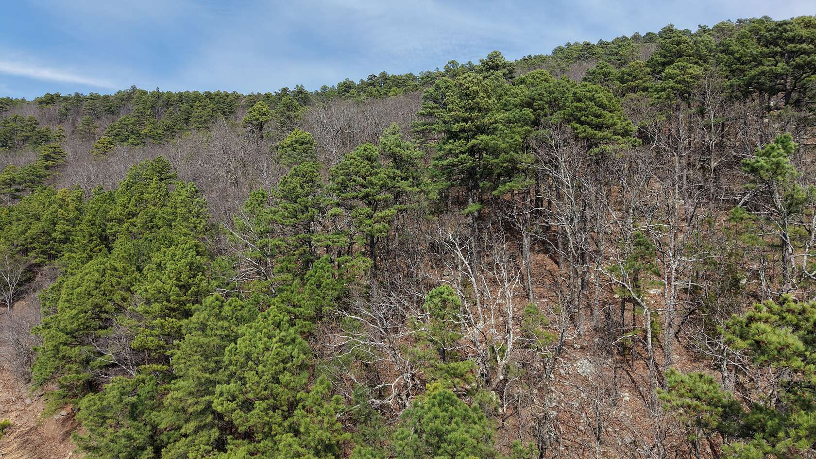 275 Acres of Land for Sale in Red Oak, Oklahoma