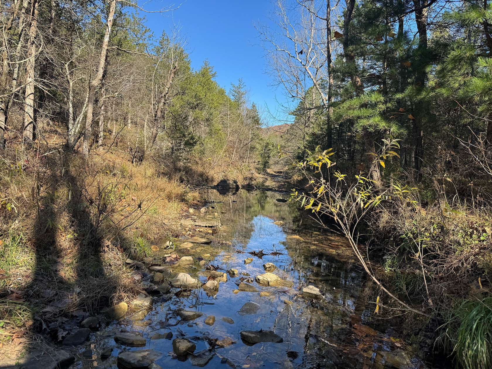 120 Acres of Land for Sale in Melbourne, Arkansas