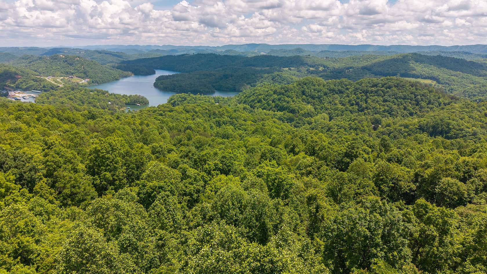 5 Acres of Land for Auction in New Tazewell, Tennessee