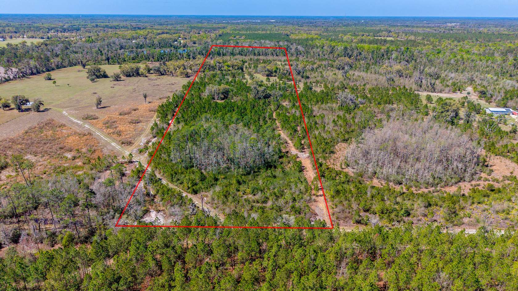 28.9 Acres of Land for Sale in Live Oak, Florida