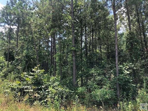 48 Acres of Land for Sale in Atlanta, Texas