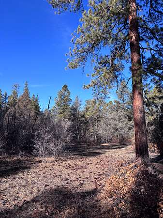 20 Acres of Land for Sale in Cebolla, New Mexico