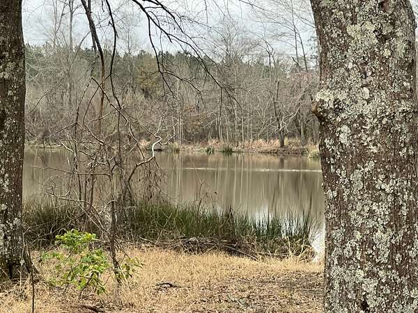 71.3 Acres of Land for Sale in Magnolia, Arkansas