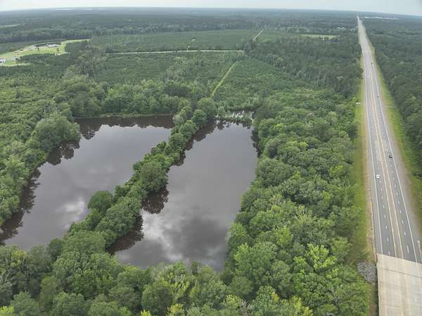 71.3 Acres of Land for Sale in Magnolia, Arkansas