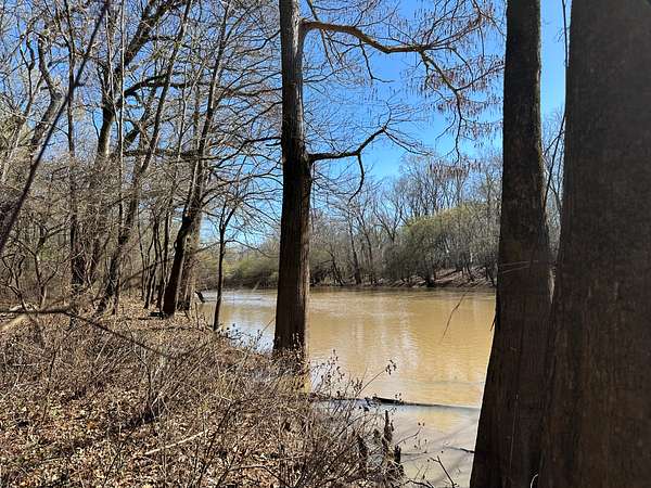 285 Acres of Land for Sale in Bastrop, Louisiana