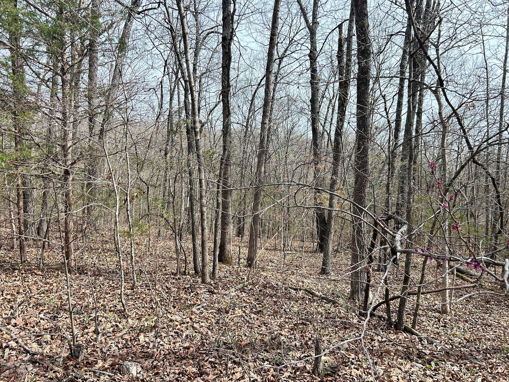 0.35 Acres of Residential Land for Sale in Hardy, Arkansas