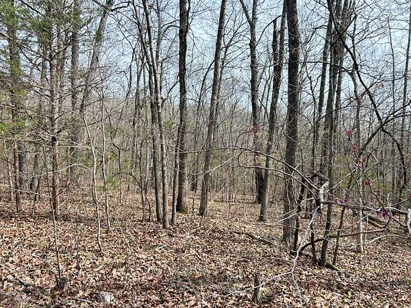 0.35 Acres of Residential Land for Sale in Hardy, Arkansas