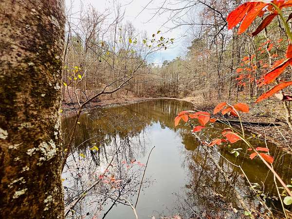 72 Acres of Land for Sale in Booneville, Mississippi