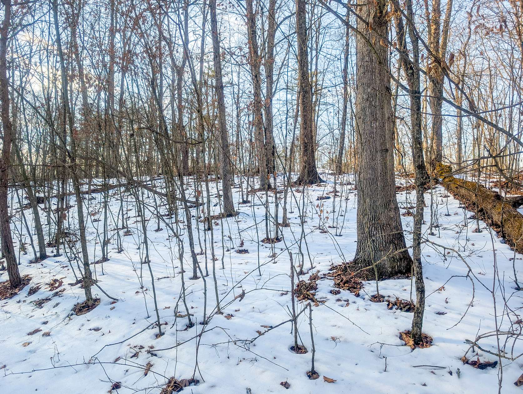 206 Acres of Land for Auction in Cutler, Ohio