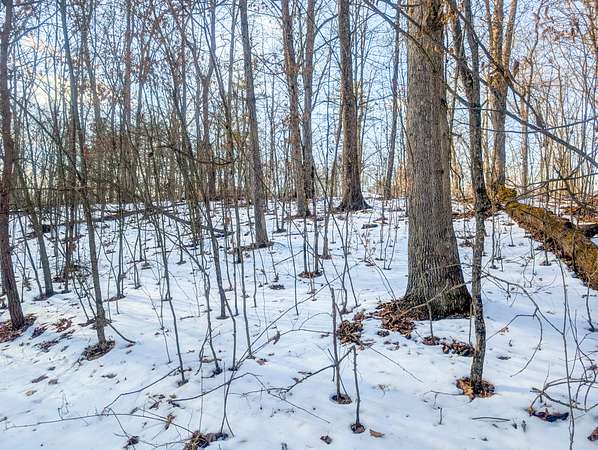 206 Acres of Land for Auction in Cutler, Ohio