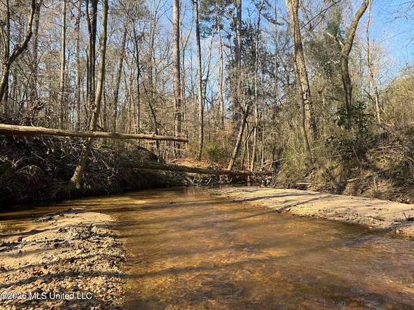80 Acres of Land for Sale in Pinola, Mississippi
