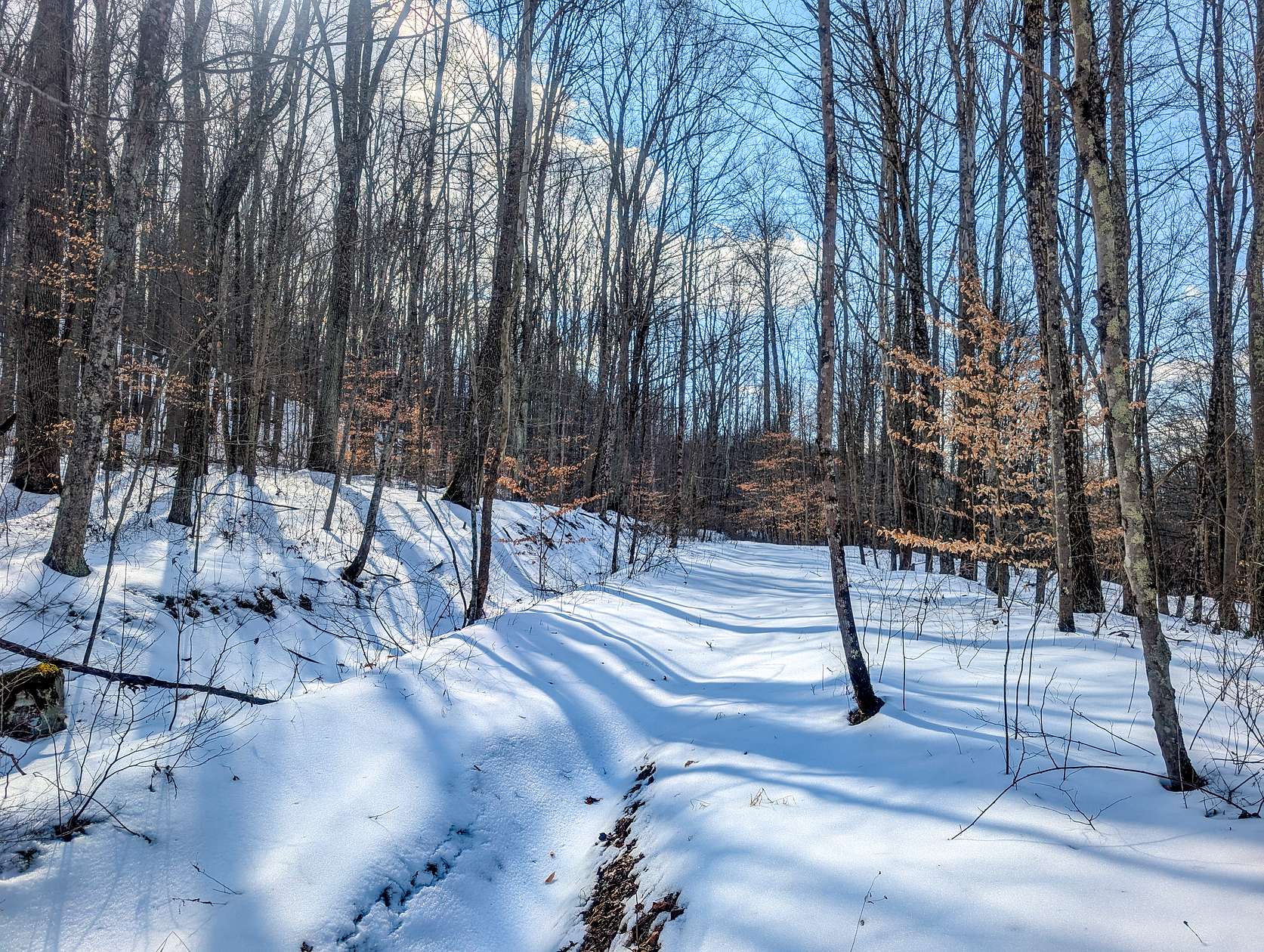 142 Acres of Land for Auction in Macksburg, Ohio