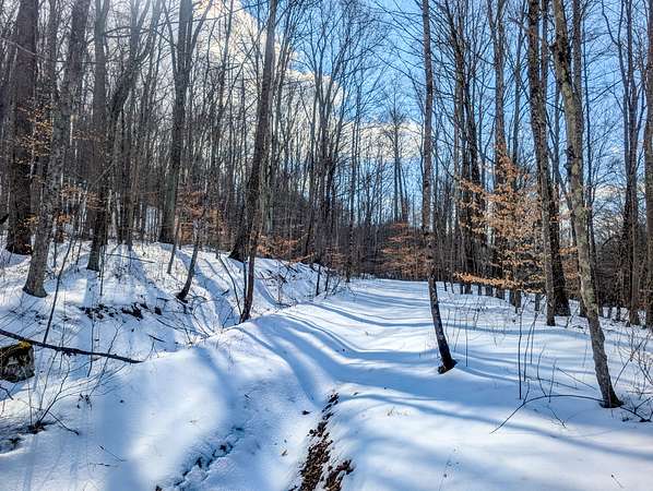 142 Acres of Land for Auction in Macksburg, Ohio