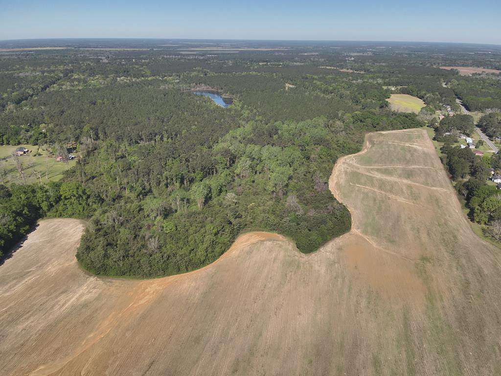 66.6 Acres of Land for Sale in Pelham, Georgia