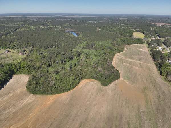 66.6 Acres of Land for Sale in Pelham, Georgia