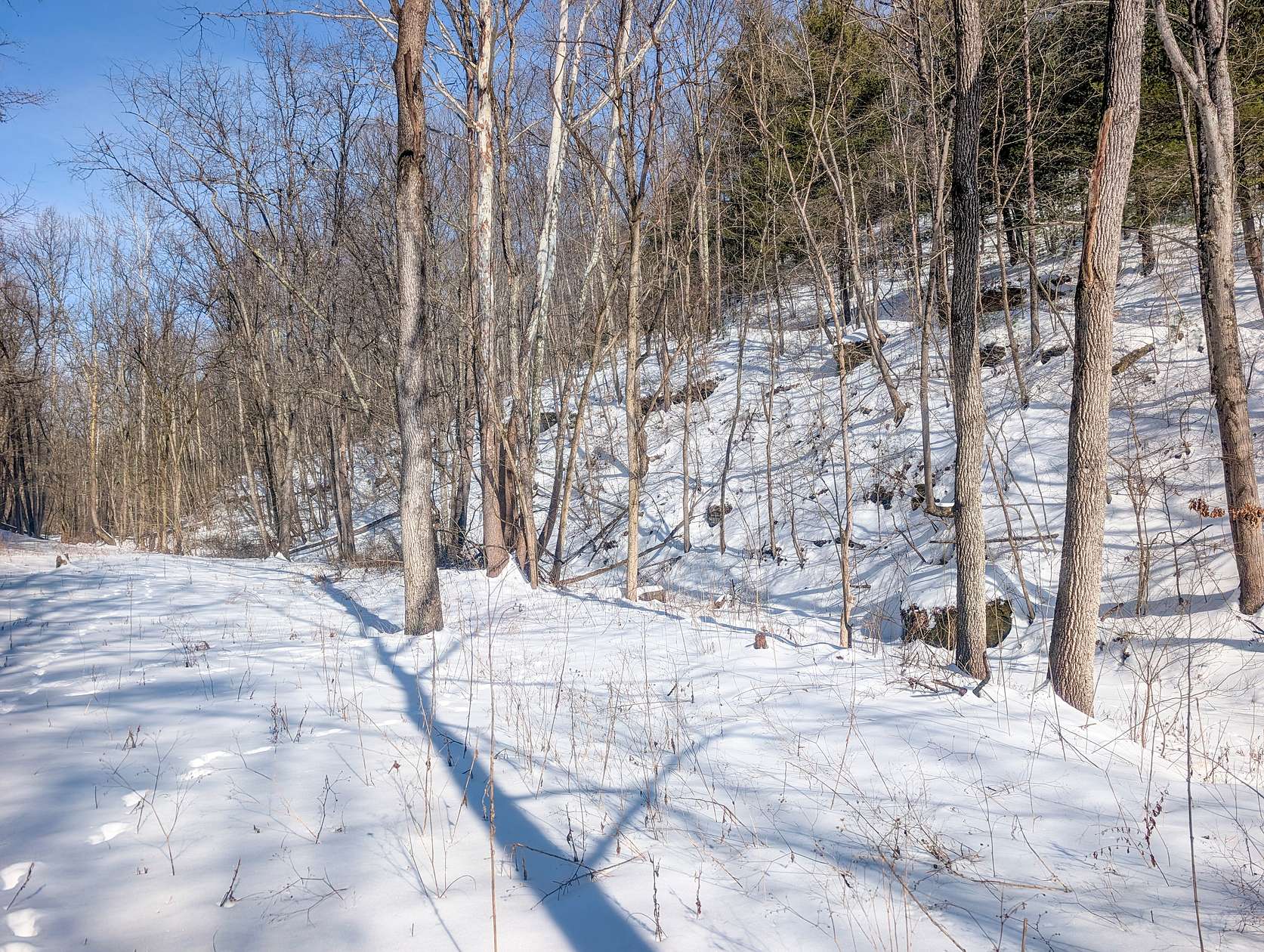 137 Acres of Land for Auction in Alledonia, Ohio