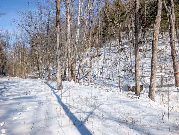 137 Acres of Land for Auction in Alledonia, Ohio