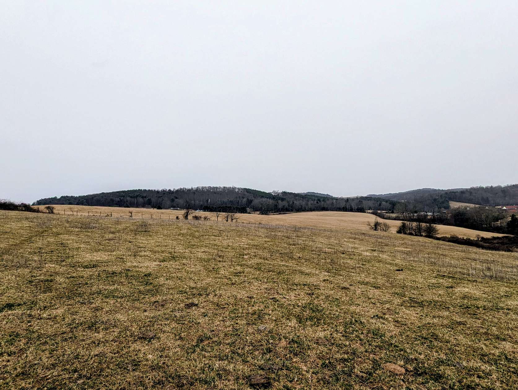 56.7 Acres of Land with Home for Auction in Hillsville, Virginia