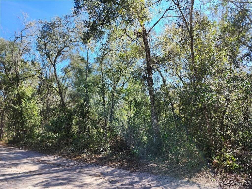 1.76 Acres of Residential Land for Sale in Hernando, Florida