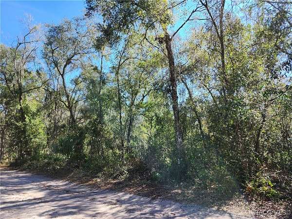 1.76 Acres of Residential Land for Sale in Hernando, Florida