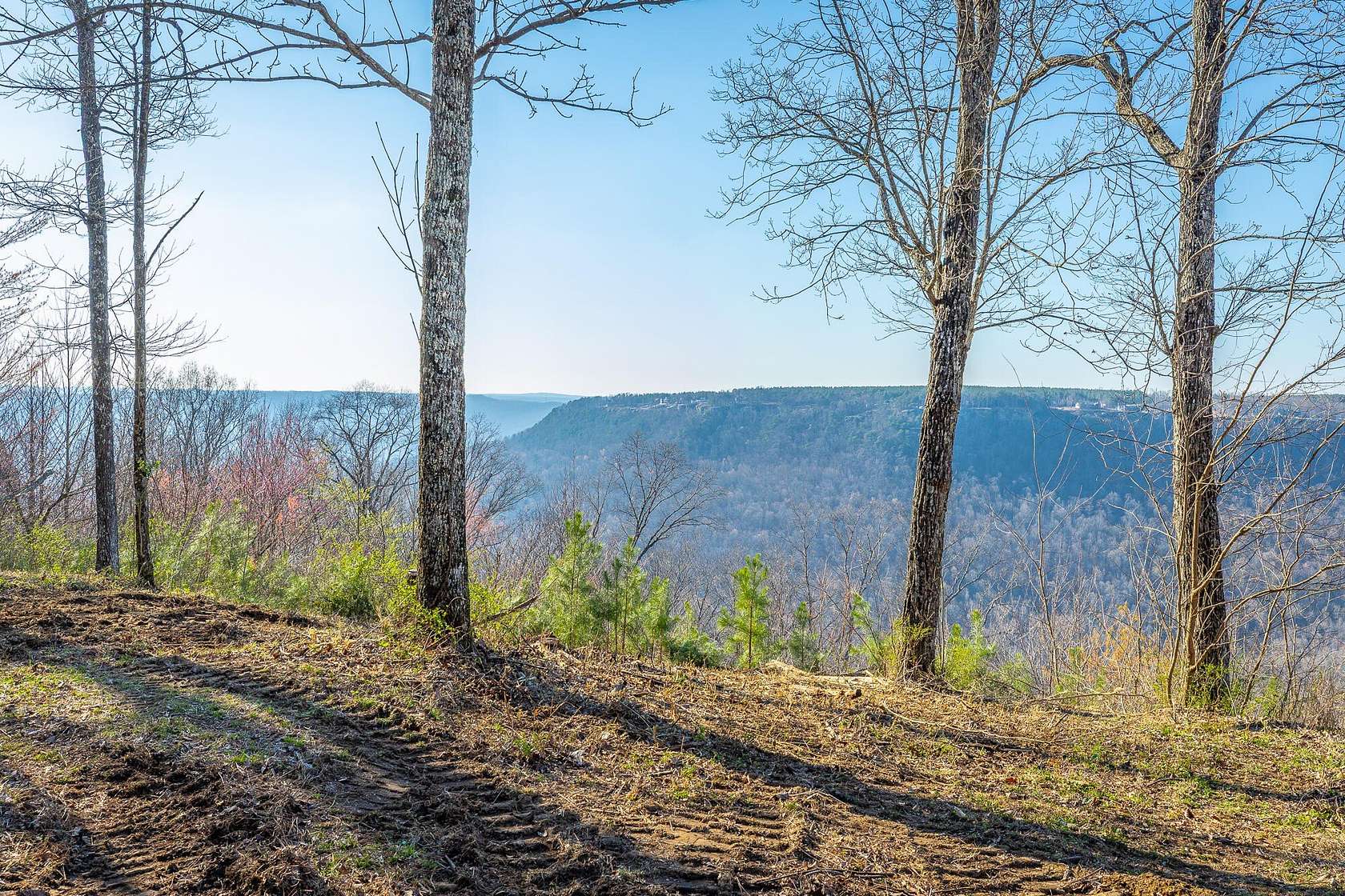 1.24 Acres of Residential Land for Sale in Jasper, Tennessee