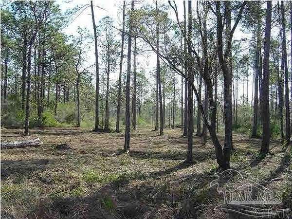 0.29 Acres of Residential Land for Sale in Pensacola, Florida