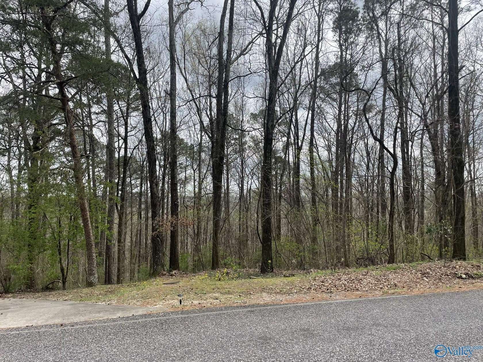 1 Acre of Residential Land for Sale in Decatur, Alabama