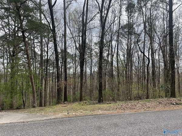1 Acre of Residential Land for Sale in Decatur, Alabama