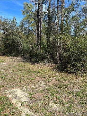 0.29 Acres of Land for Sale in Citrus Springs, Florida
