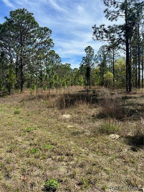 0.24 Acres of Land for Sale in Dunnellon, Florida
