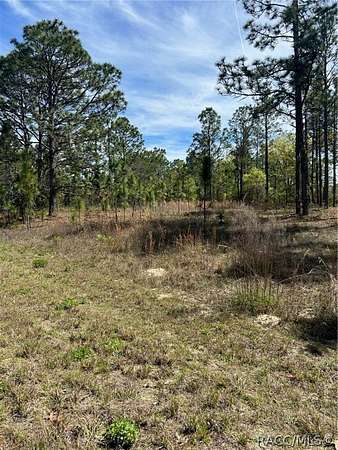 0.24 Acres of Land for Sale in Dunnellon, Florida