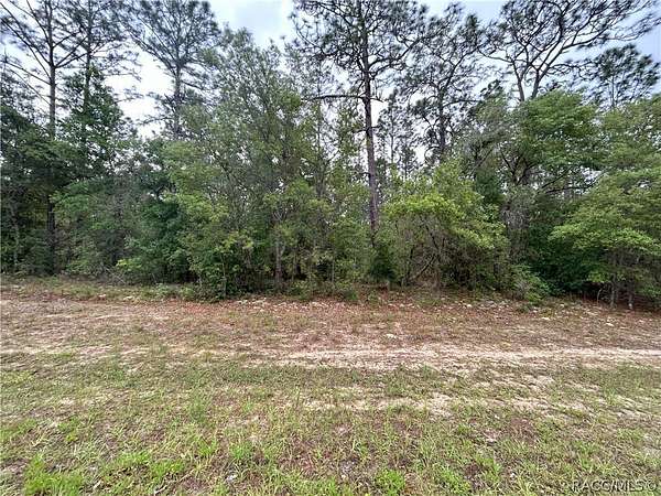 1.2 Acres of Commercial Land for Sale in Citrus Springs, Florida
