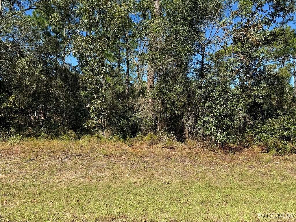 0.23 Acres of Residential Land for Sale in Citrus Springs, Florida