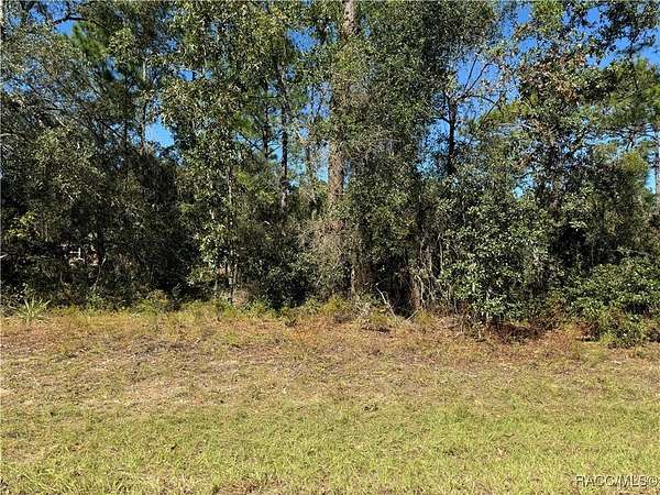 0.23 Acres of Residential Land for Sale in Citrus Springs, Florida