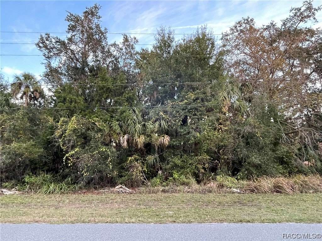 0.32 Acres of Residential Land for Sale in Homosassa, Florida