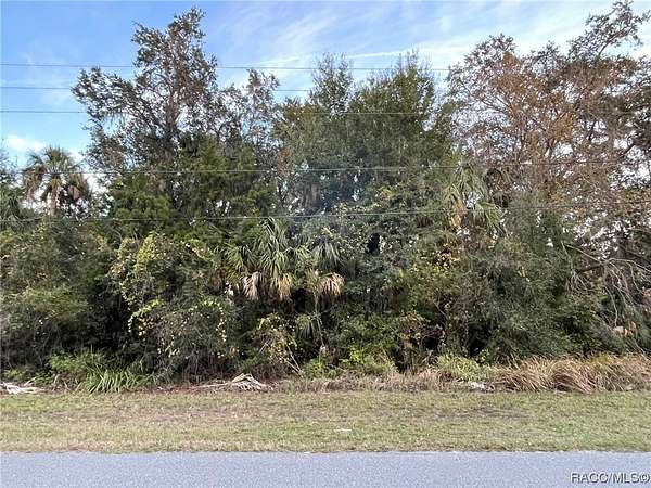 0.32 Acres of Residential Land for Sale in Homosassa, Florida