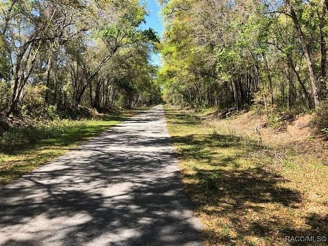 18.8 Acres of Land for Sale in Inverness, Florida