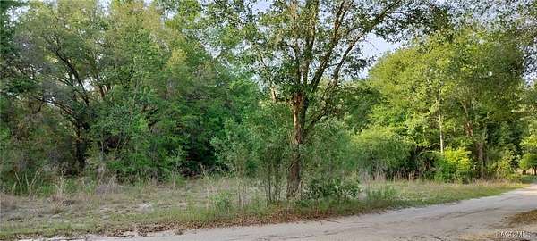 0.23 Acres of Residential Land for Sale in Inverness, Florida