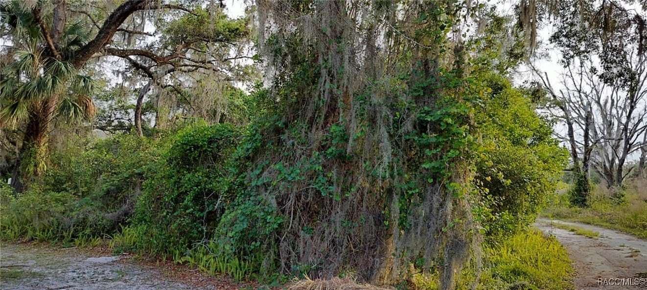 0.13 Acres of Land for Sale in Inverness, Florida