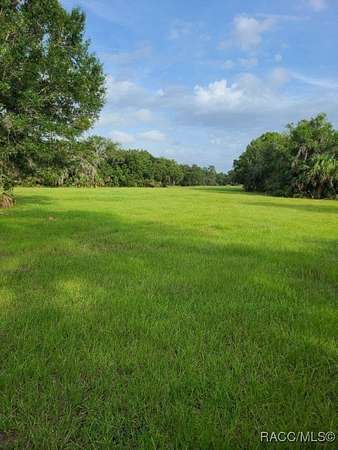 23.8 Acres of Agricultural & Residential Land for Sale in Crystal River, Florida