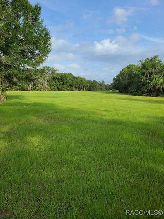 23.8 Acres of Agricultural & Residential Land for Sale in Crystal River, Florida
