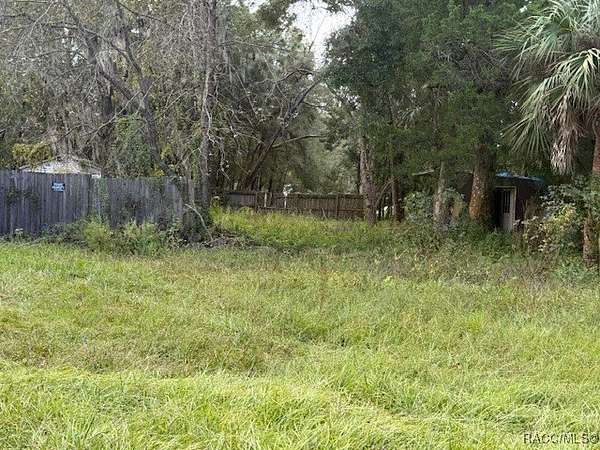 0.17 Acres of Residential Land for Sale in Homosassa, Florida
