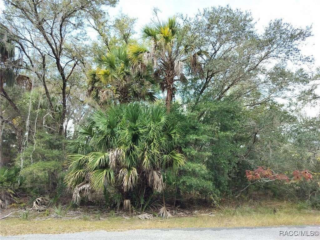 1.16 Acres of Residential Land for Sale in Crystal River, Florida
