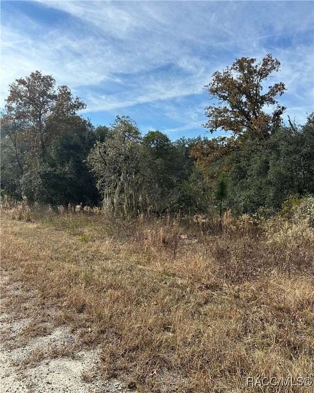 0.25 Acres of Residential Land for Sale in Dunnellon, Florida