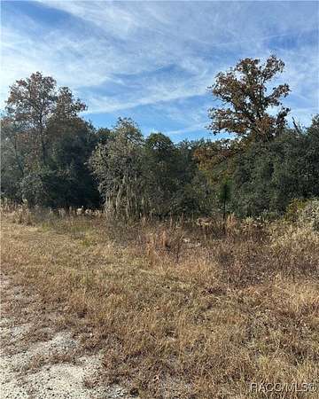 0.25 Acres of Residential Land for Sale in Dunnellon, Florida