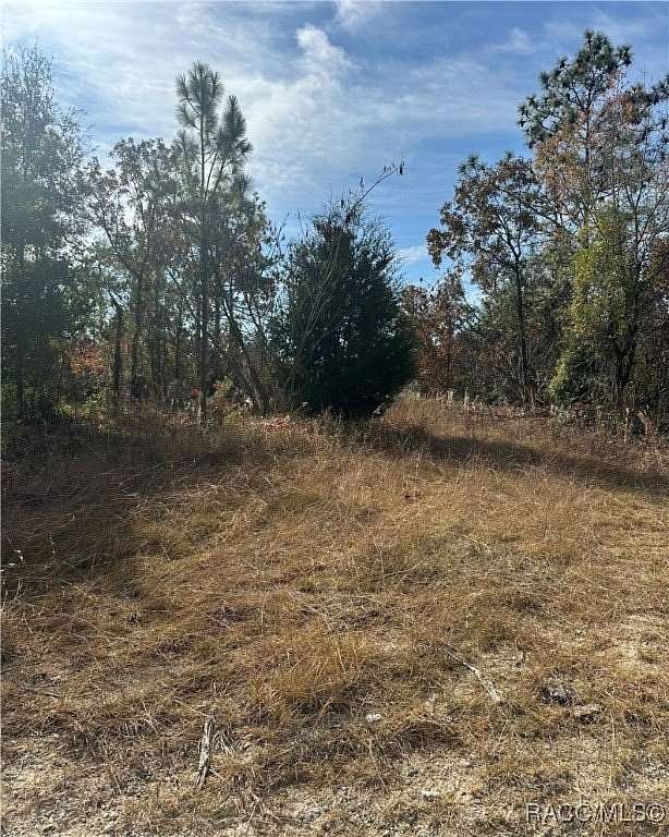 0.23 Acres of Residential Land for Sale in Williston, Florida