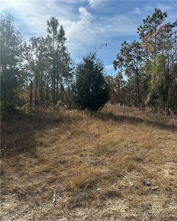 0.23 Acres of Residential Land for Sale in Williston, Florida