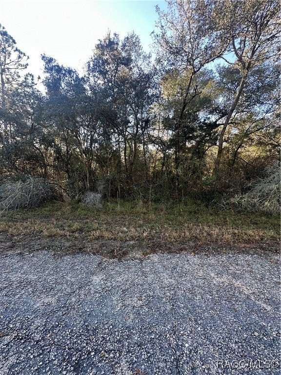 0.29 Acres of Residential Land for Sale in Dunnellon, Florida