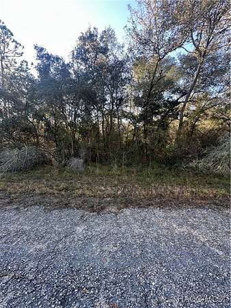 0.29 Acres of Residential Land for Sale in Dunnellon, Florida